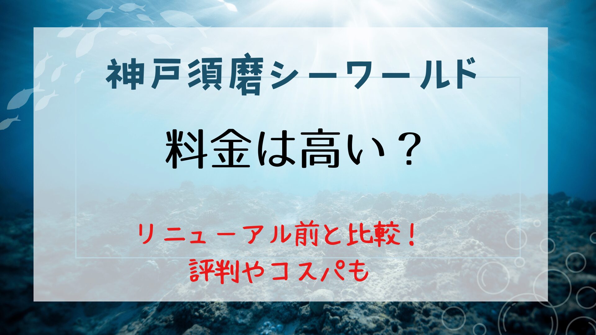 須磨シーワールドは高い？リニューアル前と比較！シャチの評判も